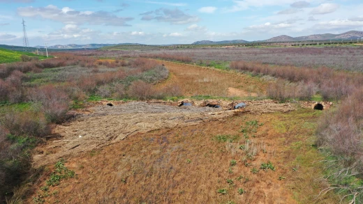 Un histórico puente romano, en peligro de derrumbe: "Existe un claro riesgo de colapso"
